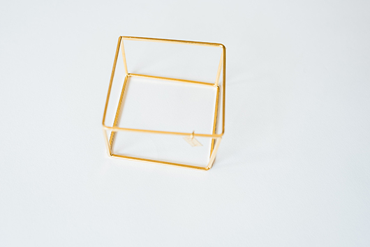 צמיד גביס 200 ש"ח | צילום: שי פרנקו