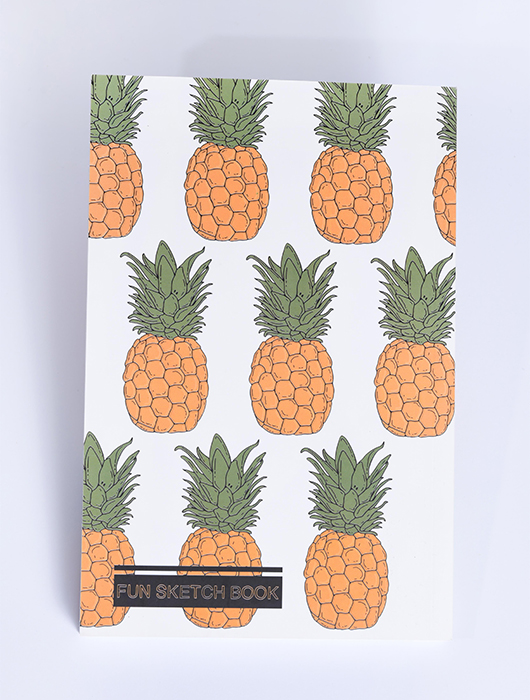 מחברת סקיצות, דנה אבני וחן לזימי