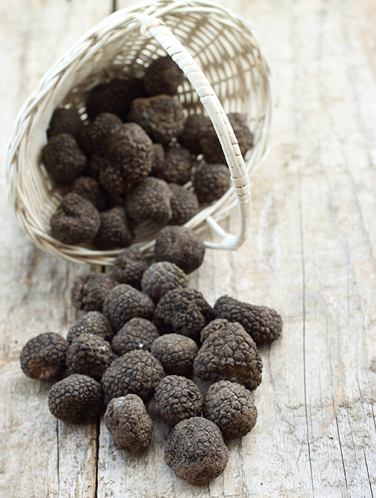 צילום: Shutterstock