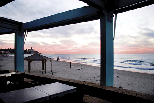 מאנטה ריי | צילום: יח&quot;צ