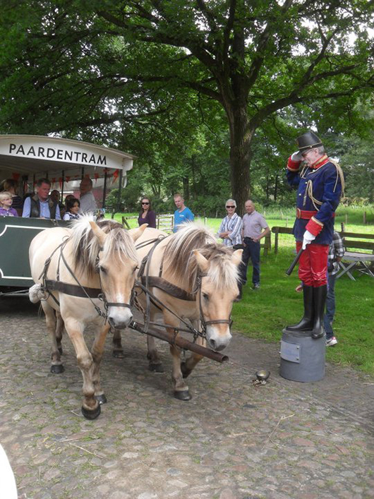 סיור כרכרות באורוולטה | צילום באדיבות Toursi info Drenthe