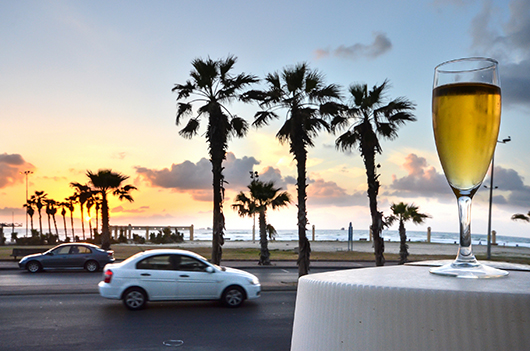 מסעדת אנדיב | צילום: דניאל לילה