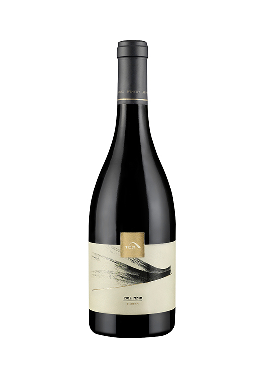 תבור סופה 2012 | צילום: איה בן עזרי