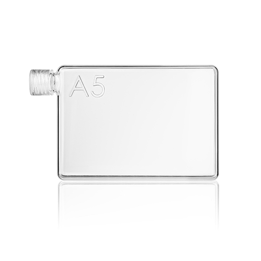 עם בקבוק הmemo מים מעולם לא היו מגניבים יותר | צילום: יח"צ