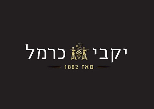 צילום: יח"צ