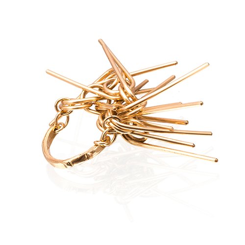 BIKONT | צילום: רועי רייפלד