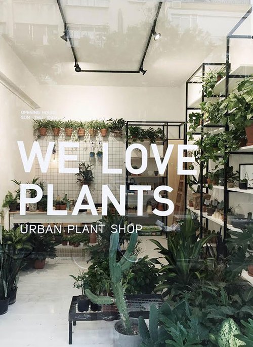 We love plants : בשורת הצמחים האורבניים | צילום: מיכל רולנד