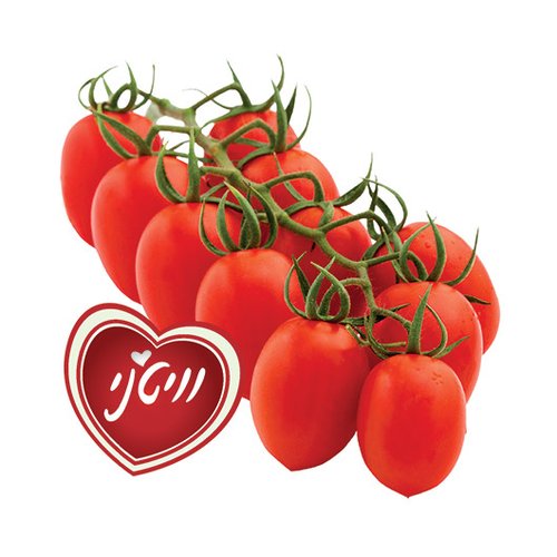 עגבניות וויטני | צילום: יח"צ