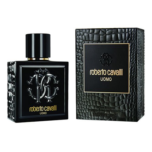 רוברטו קוואלי | צילום: יח"צ