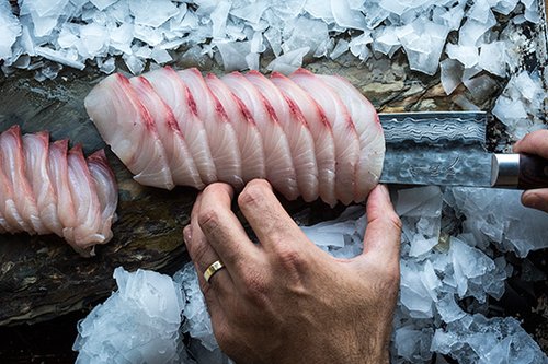 קרפצ'יו אינטיאס על הסכין | צילום: אנטולי מיכאלו