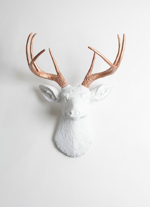 ראש אייל | White Faux Texidermy