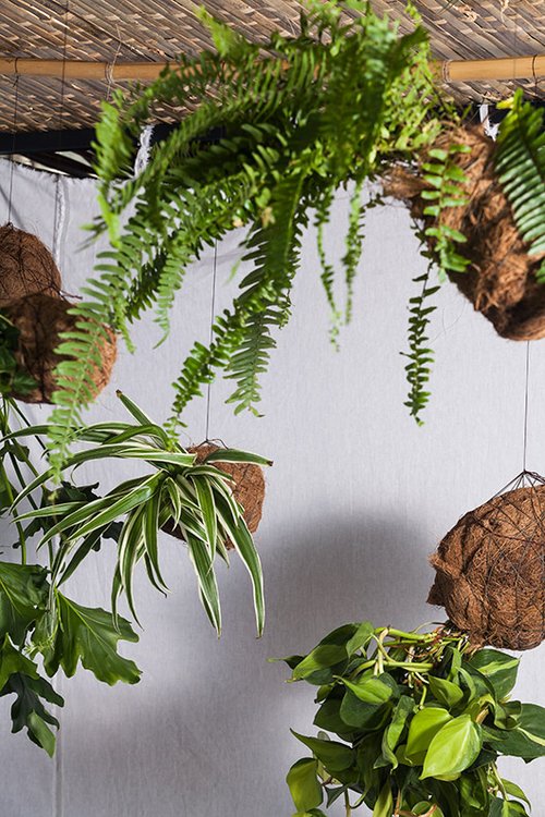 הפקה וסטיילינג: לינוי לנדאו | צילום: טל ניסים