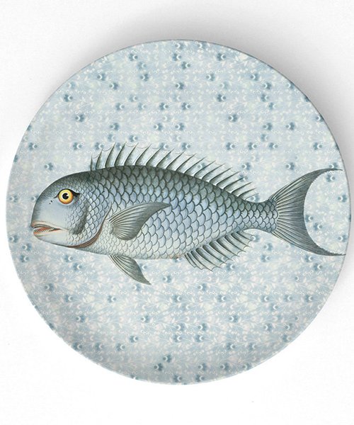 לא משעמם בצלחת | TheMadPlatters