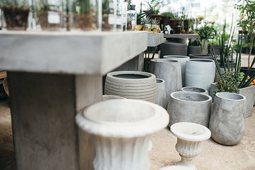 משתלת הכפר | צילום: שי פרנקו