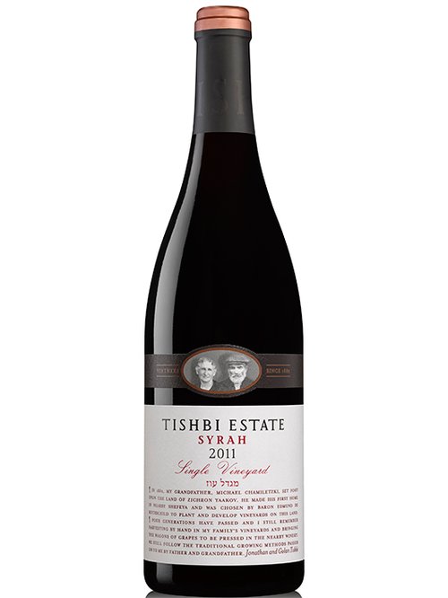 תשבי: סירה מגדל עוז 2011 | צילום: מוטי פישביין