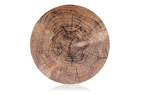 פלייסמנט של פוקס הום | צילום: אפרת אשל