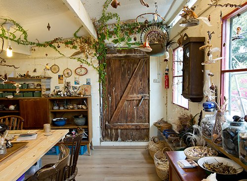 Dancing seeds: בקתה קסומה מלאה באוצרות מהטבע | צילום: בועז לביא