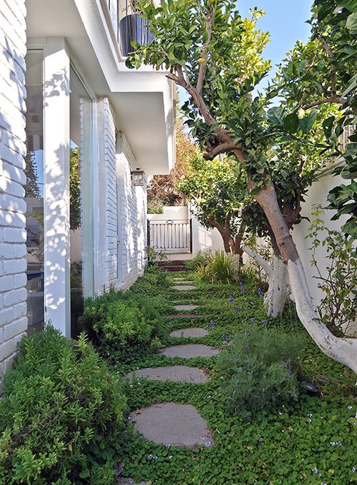 צילום: שי אדם