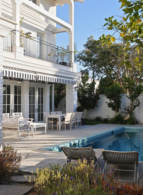 צילום: שי אדם