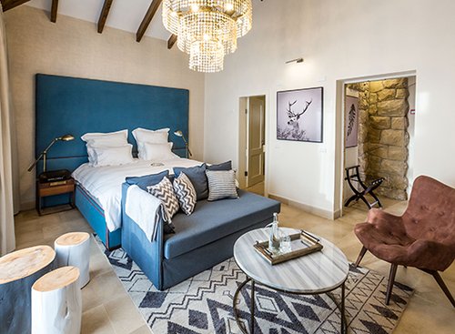 צילום: אדי ישראל