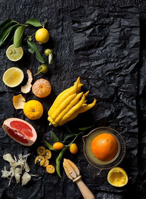 הדרים נהדרים | צילום: בועז לביא 