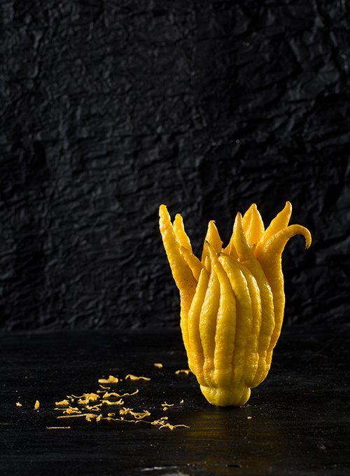 בודהה ליים | צילום: בועז לביא 