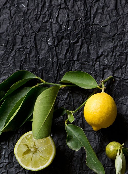 מימין (קטן) : קלמנסי ליים, באמצע: לימון, משמאל: ליים | צילום: בועז לביא 