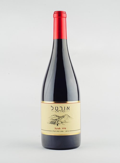 אורטל סירה 2012 | צילום: עדי פרץ