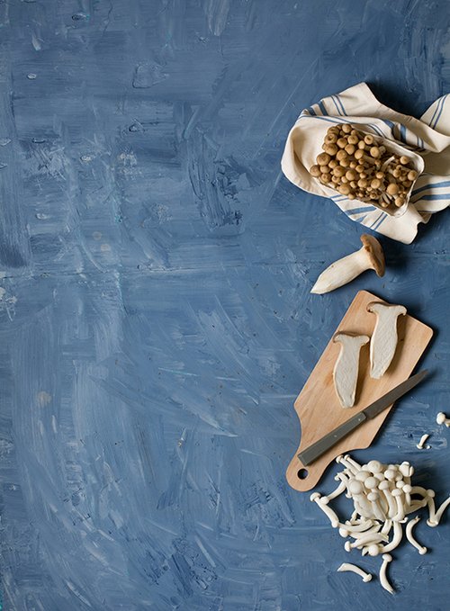 מלמעלה למטה: שימאג'י חומה, מלך היער, שימאג'י לבנה | צילום: בועז לביא