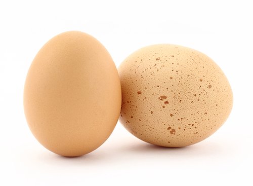 צילום: shutterstock צילום: shutterstock