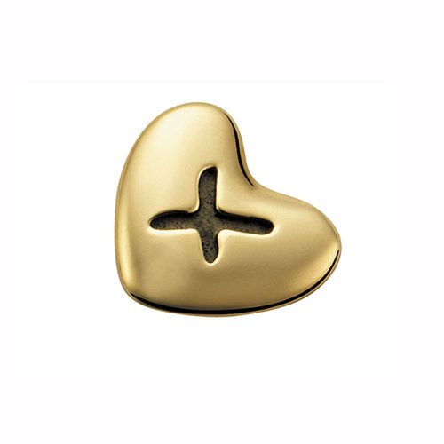 כפתור ופרח | צילום: דיוויד ווילס