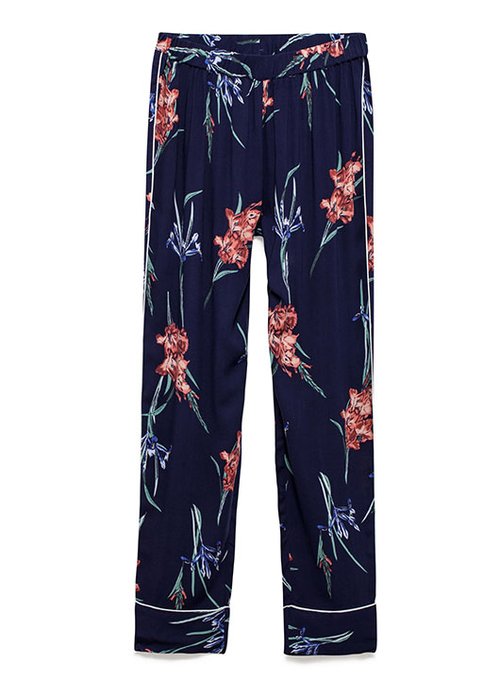 קסטרו | צילום: טל קרת