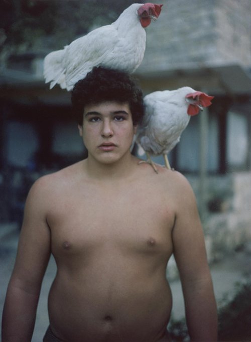 עין הוד | צילום: דודי חסון