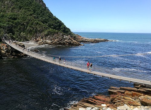 גשר תלוי בשמורת ציציקמה | צילום: דודו בן צור