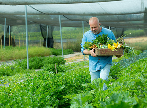 רן שמואלי קוטף לנו ארוחה | צילום: בועז לביא | סטיילינג: תמי סגל