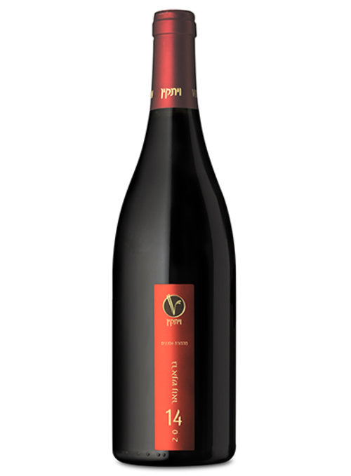 גראנש נואר | צילום: אייל קרן