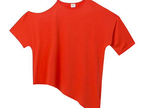 חולצה של קסטרו | צילום: אבי ולדמן  