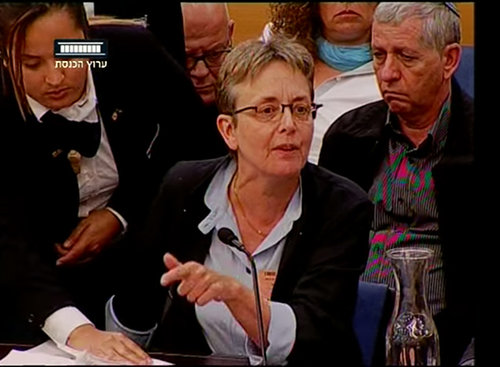  לאה גולדין בישיבה בכנסת | צילום מסך מערוץ הכנסת