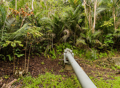 ג'ונגל עם שאריות מלחמה, הגאטנה | צילום: Shutterstock