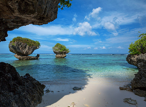 חוף חולי ובתולי | צילום: Shutterstock