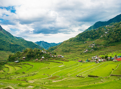 טרסות מחוץ למנילה | צילום: יח"צ כרמל תיירות