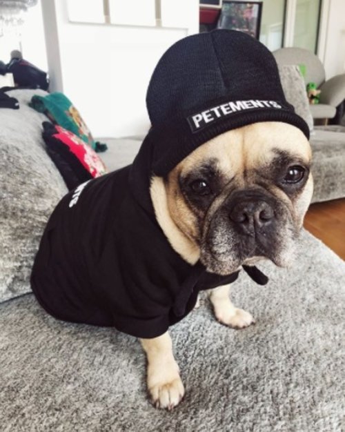 וזאת מטילדה של קיארה פראני, וגם לה כמובן יש אינסטגרם @matildaferragni