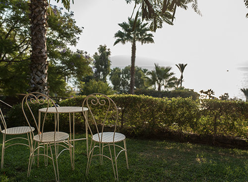 הגינה של המלון הסקוטי | צילום: סיון אסקיו