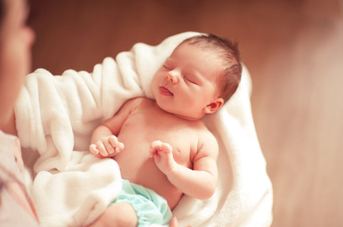 צילום: Shutterstock צילום: Shutterstock