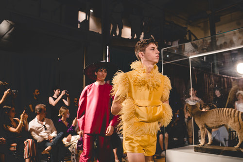 התצוגה של Palomo Spain בשבוע האופנה במדריד | צילום: ליה גלדמן 