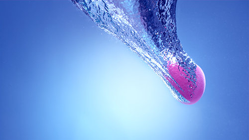 הספוגית ששווה את ההשקעה. צילום: יח"צ