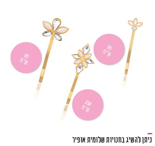 סיכות של שלומית אופיר 95-150 ש"ח | צילום: יח"צ