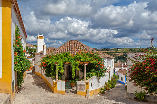 אובידוש | צילום: shutterstock