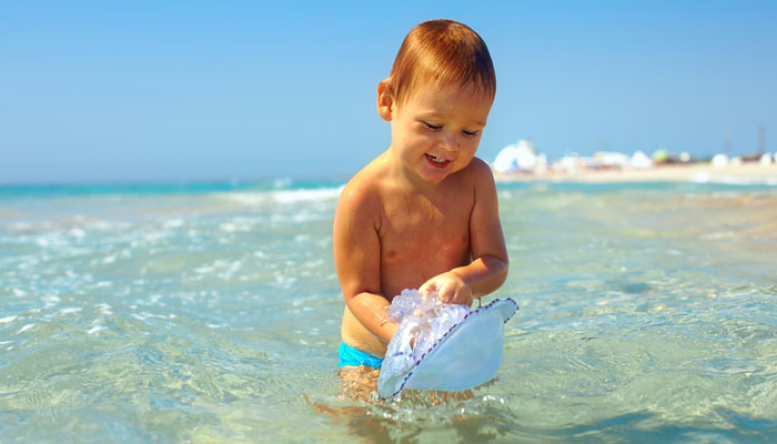 סכנת מדוזות