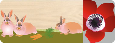 בין המוצרים המאופיינים ברמת גימור גבוהה ניתן למצוא תמונות המודפסות על גבי קנבס, תמונות עץ בחיתוך לייזר